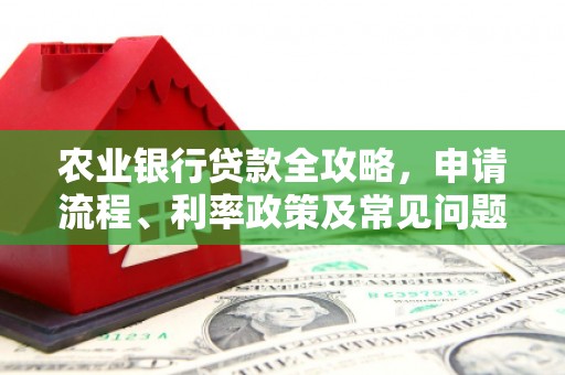 开远农业银行贷款全攻略，申请流程、利率政策及常见问题解析