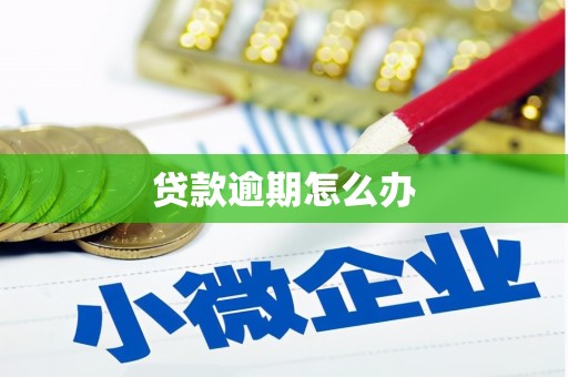 开远贷款逾期怎么办