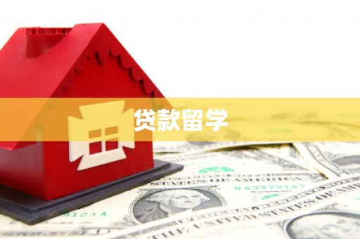 开远贷款留学
