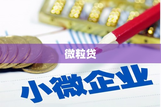 开远微粒贷
