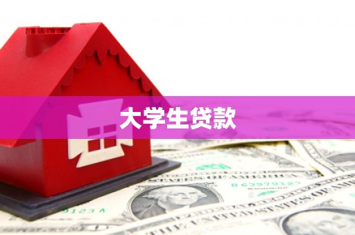 开远大学生贷款