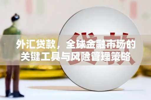开远外汇贷款，全球金融市场的关键工具与风险管理策略