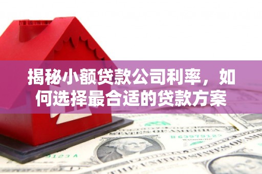开远揭秘小额贷款公司利率，如何选择最合适的贷款方案