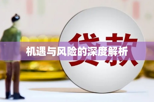 开远机遇与风险的深度解析