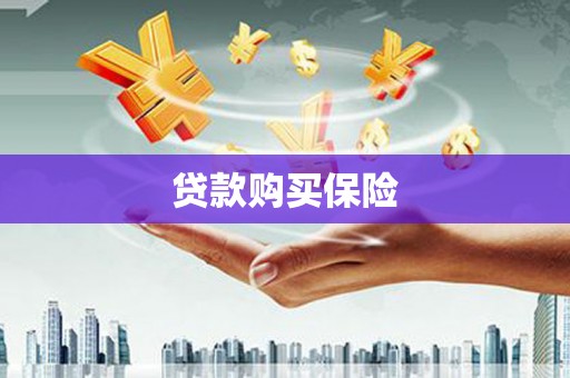 开远贷款购买保险