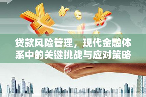 开远贷款风险管理，现代金融体系中的关键挑战与应对策略