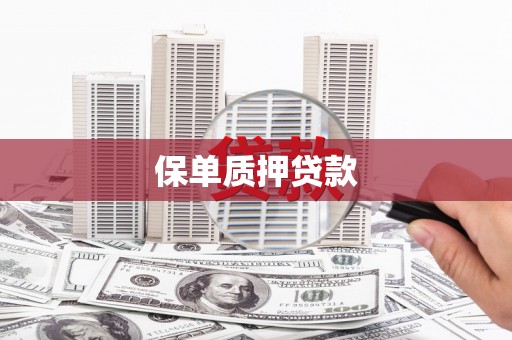 开远保单质押贷款