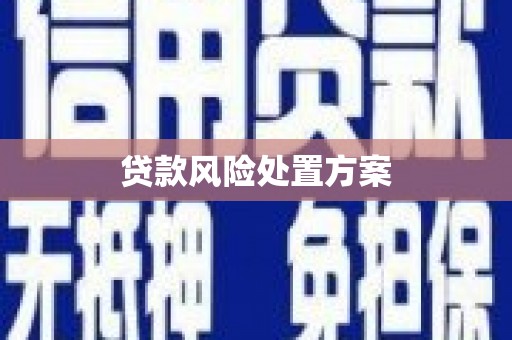 开远贷款风险处置方案