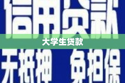 开远大学生贷款